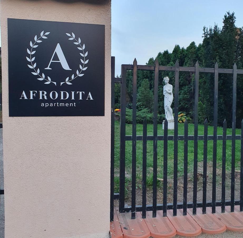 Afrodita Apartment Vrdnik Esterno foto